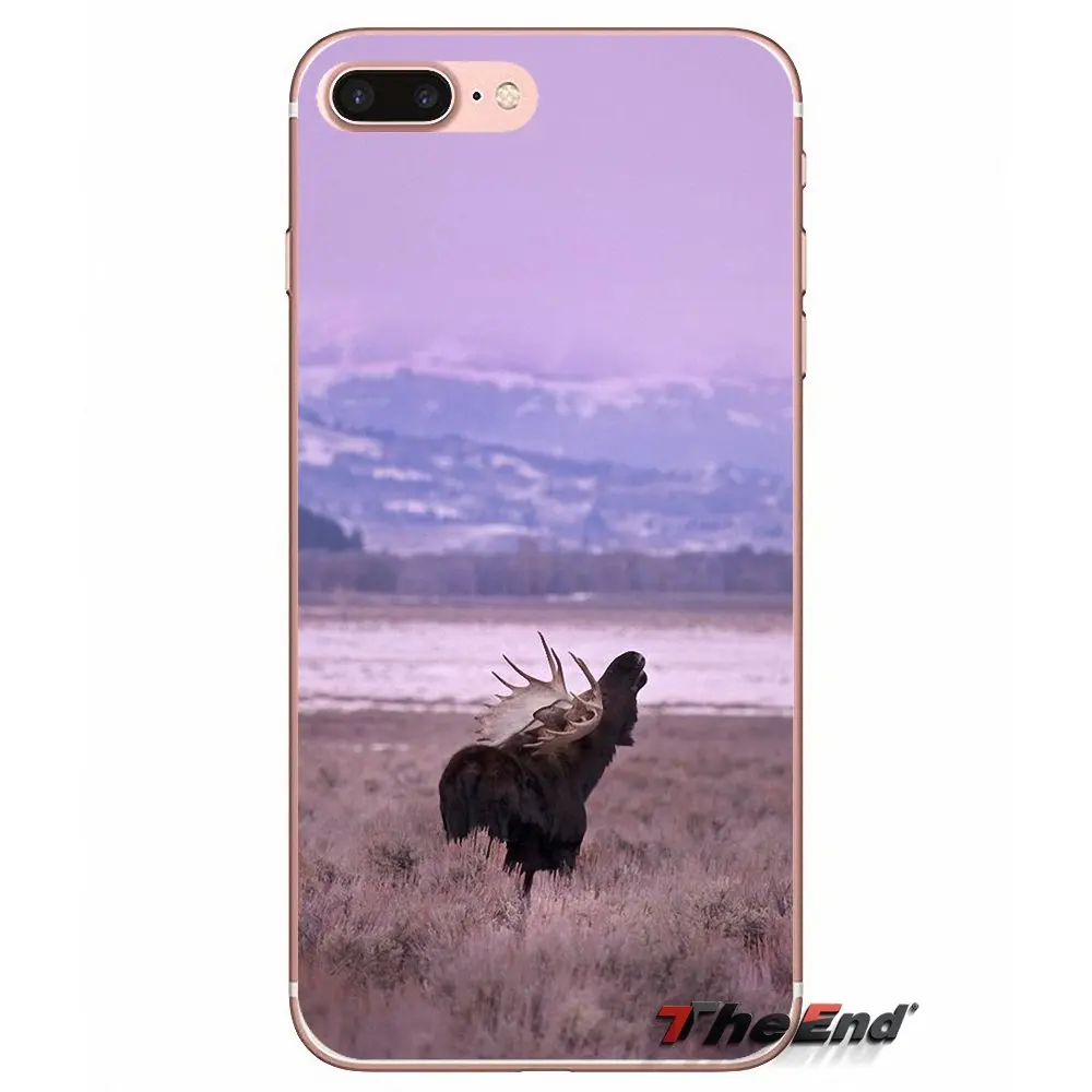 Силиконовый ТПУ чехол для Huawei G7 G8 Ascend P7 P8 P9 Lite Honor 4C 5X 5C 6X Mate 7 8 9 Y3 Y5 Y6 II Pro Animal Alaska Bull