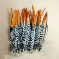50pcslot 6 8 15 20cm natural red tipped lady amherst pheasant orange featherslady amherst pheasant feathers