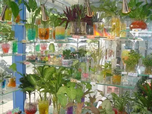 1000 грамм в упаковке 12 видов цветов хрустальный шар морские Детские хрустальные