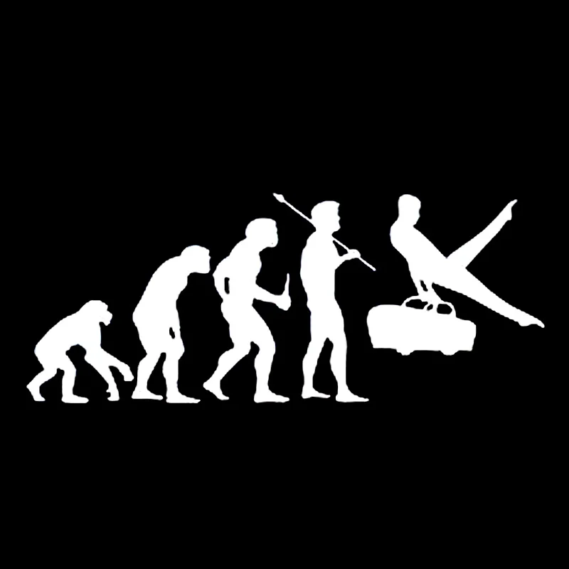 16 см * 6 5 Evolution гимнастический конь гимнастика интересные виниловые наклейки в