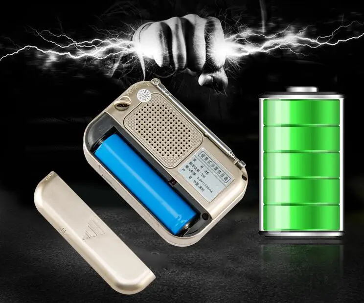 Перезаряжаемый Bluetooth беспроводной динамик fm-радио приемник портативное мини-радио Поддержка TF карты музыкальный плеер