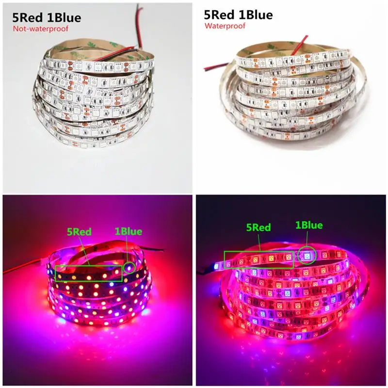 Светодиодная лампа для выращивания растений 1 м 2 3 4 5 SMD 5050 DC12V гибкая светодиодная