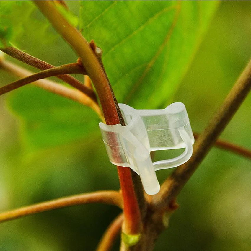 

10PC/set New Transparent Durable Plastic Grafting Clips for Garden Vegetable Flower Vine Bushes Plants Tool Equipment