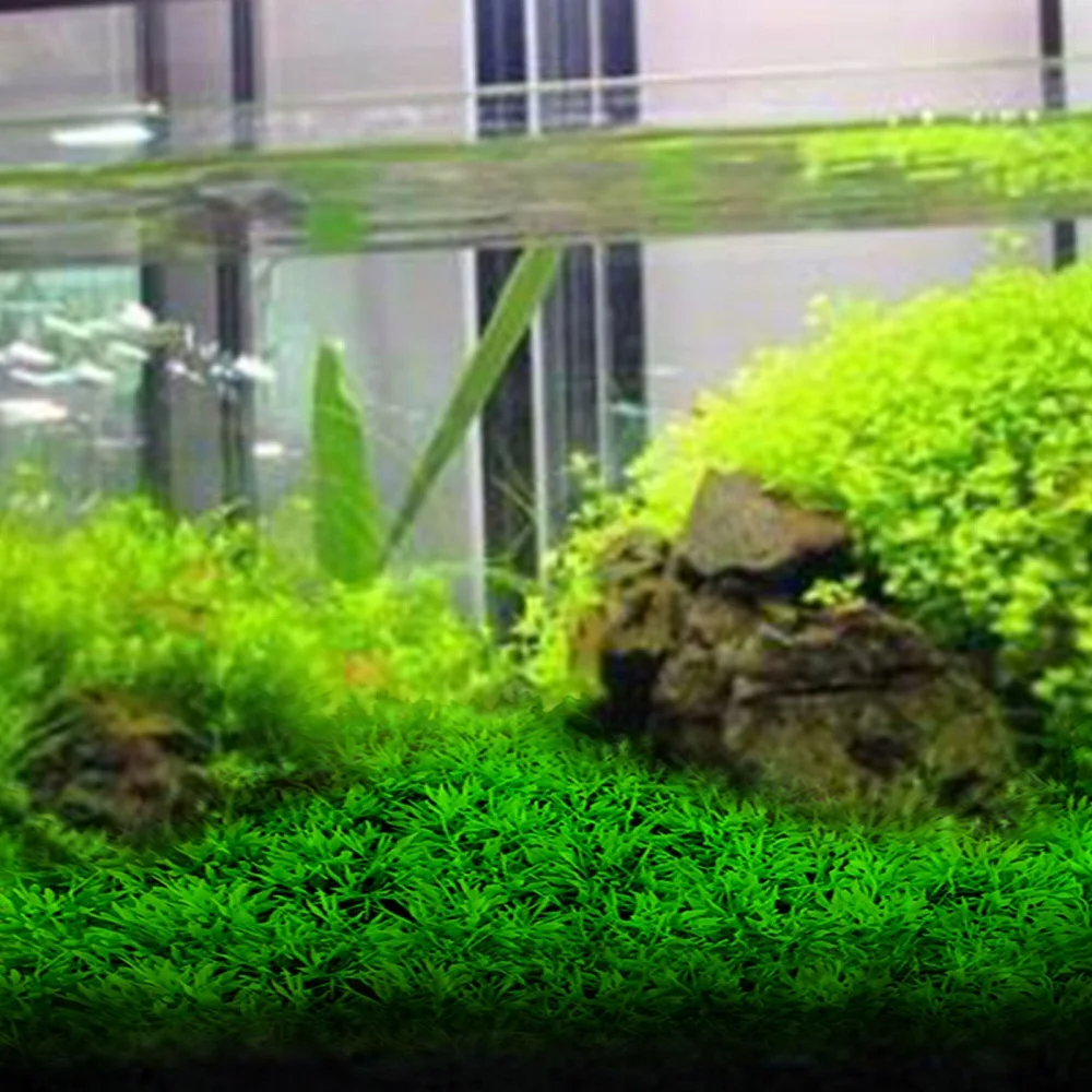 Искусственный подводный пластиковый зеленый газон трава растение водный