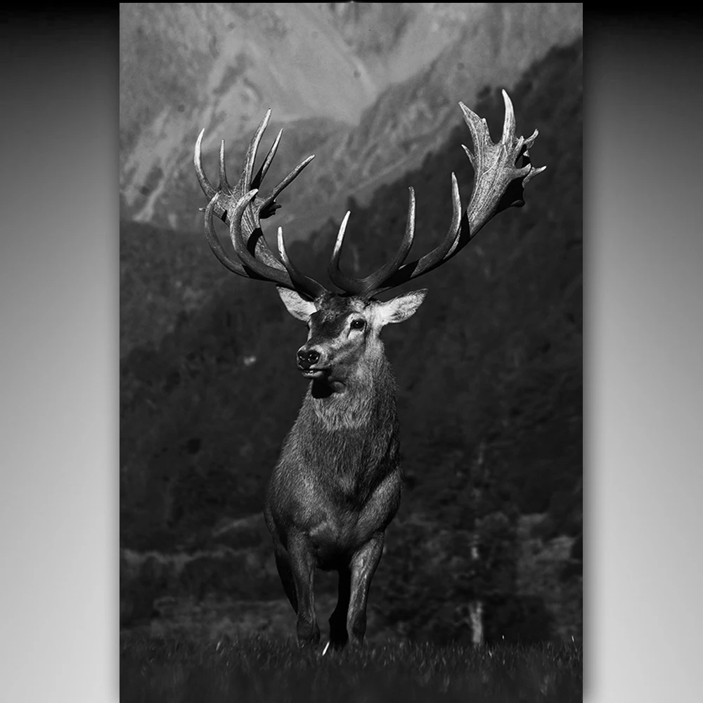 

Printing Deer in Forest Autumn Forest Pictures Prints On Canvas Animal The Picture Decor Oil For Home Modern Decoration