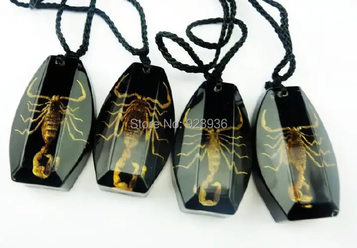 Ожерелье из черной смолы с образцом настоящего золотого скорпиона 10 шт.|necklace