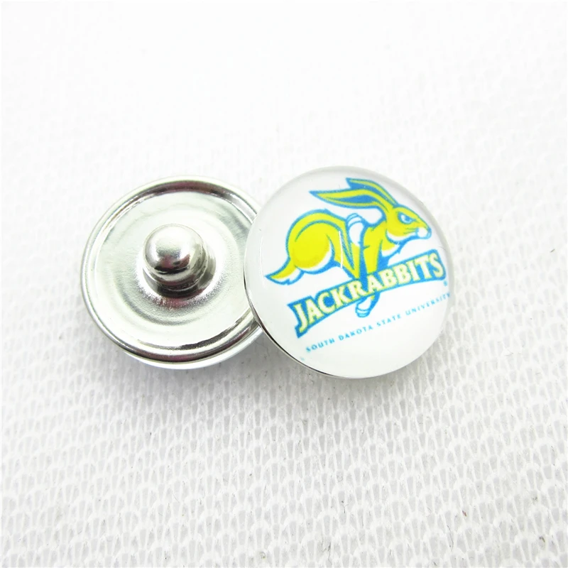 

10pcs South Dakota State Jackrabbits Snap buttons 18mm Glass Sports snap buttons Diy Snaps Jewelry Bracelet&bangles charms