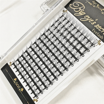 Big Eye Secret 10P W Fans Individual Eyelash Extension Premade Flase Lashes 10D Volume Eyelashes Free Shipping-131762