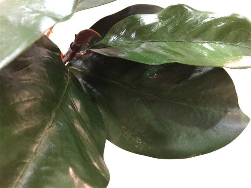 3D шелковые ветки магнолии искусственные цветы Высококачественный искусственный