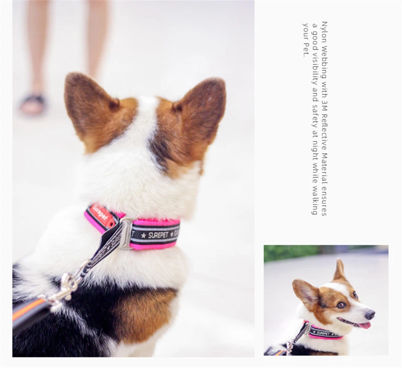 Reflective Collar for Dogs Nylon Adjustable Dog Collar Soft Padded Explosion Proof Pet Collar for Medium Large Dogs Training Red