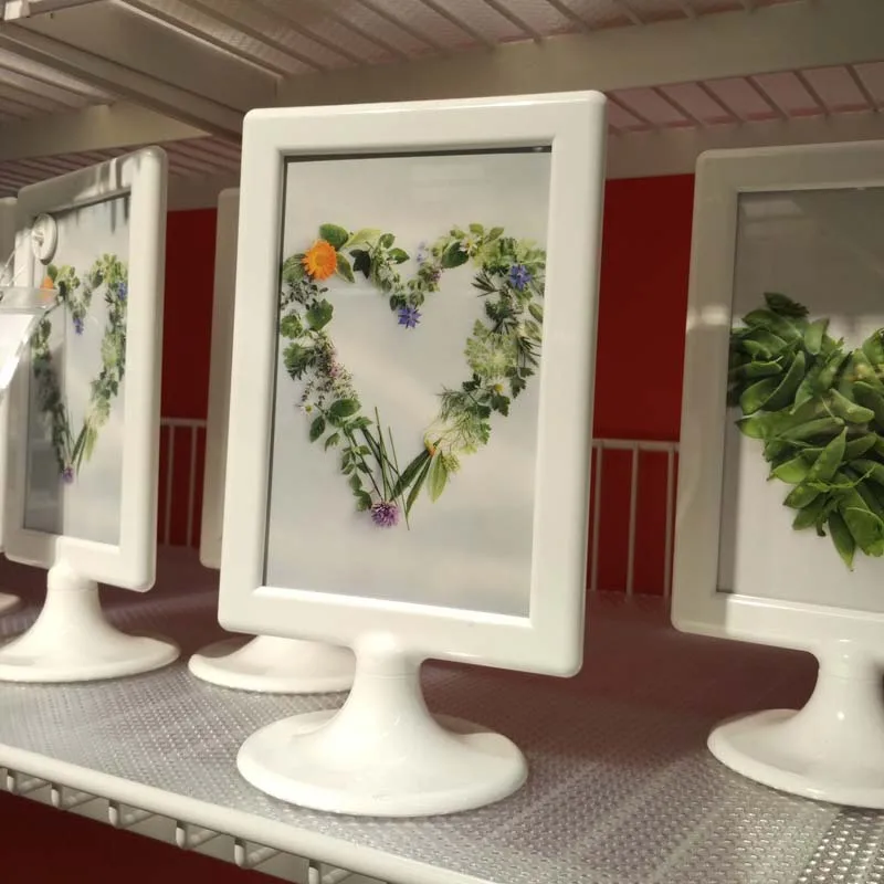 Photo Frame TOLSBY for 2 pictures telaio It is also Menu Holder Stand Picture Foto frames | Дом и сад