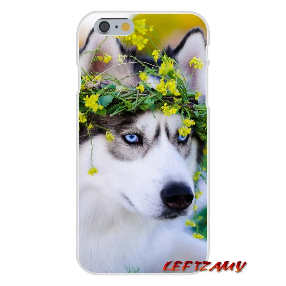 Для iPhone X XR XS MAX 4 4S 5 5S 5C SE 6 6S 7 8 Plus ipod touch Alaskan Malamute Siberian husky аксессуары Чехлы |