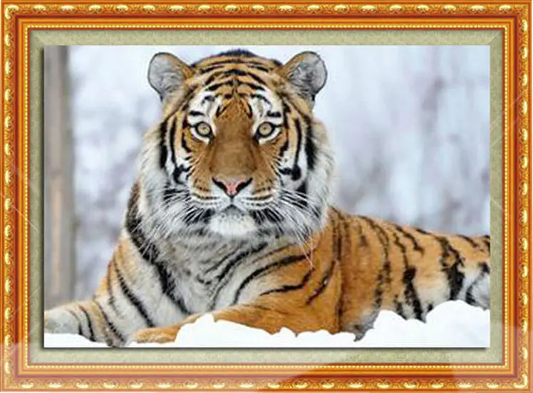 Новый Diy алмазная живопись Тигровая Алмазная вышивка все сверла тигра в снегу
