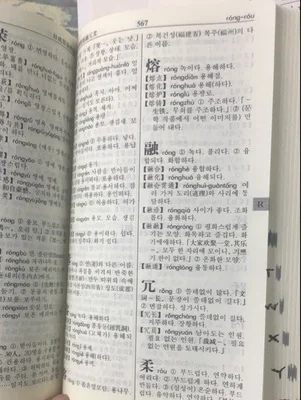 Книга в китайском Корейском словаре стиле hanzi|learn chinese characters|korean dictionarylearn |