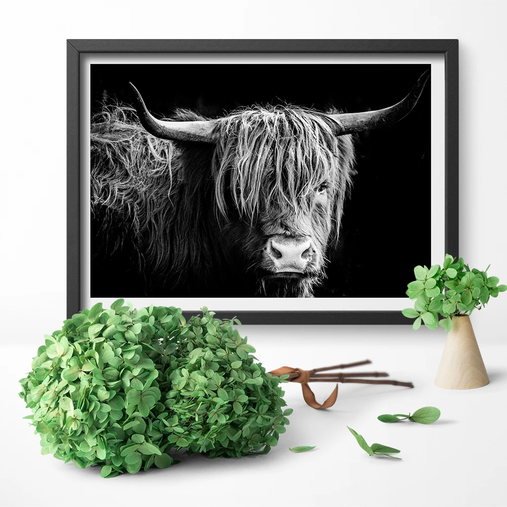 Художественные настенные картины Schotse Hooglanders Freedom Highland Cow печать и постер Крупный