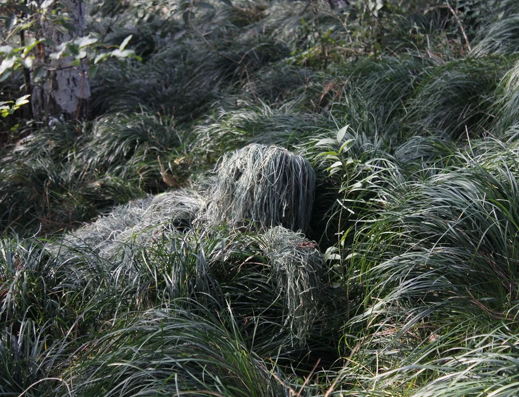 3D камуфляж спецназ костюмы для мужчин охота Ghillie лесной одежда Военная Тактическая снайперский набор Униформа армии страйкбол униформа Одежда