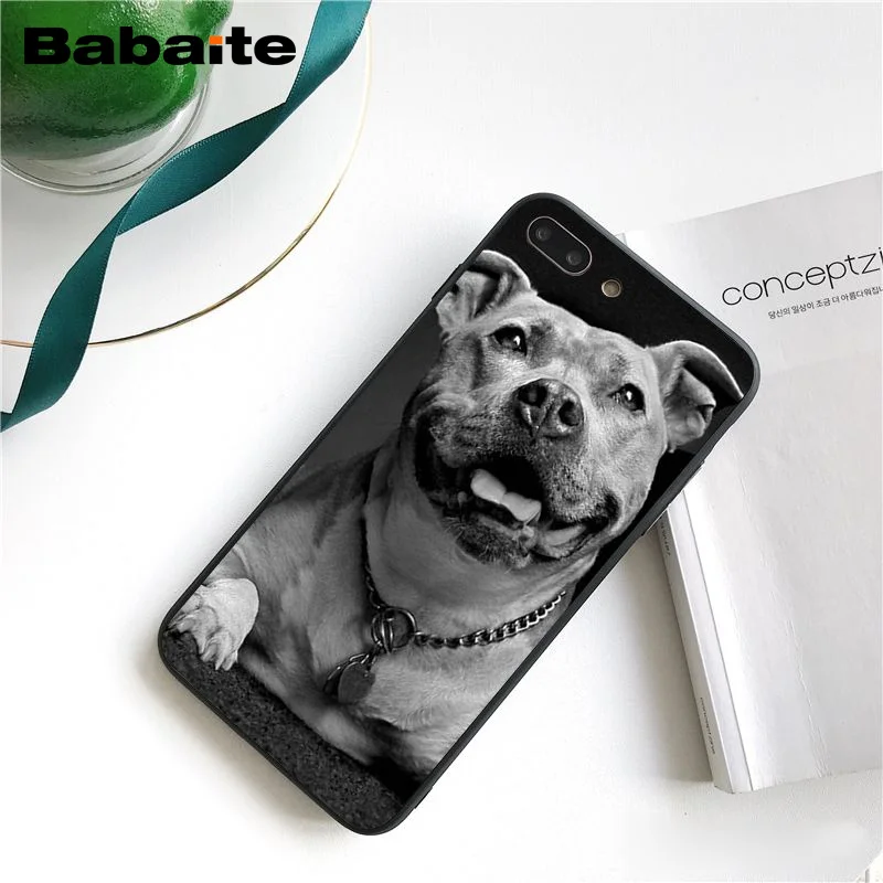 Babaite питбуль прекрасный питбуль чехол для телефона чехол для iphone 11 Pro 11Pro Max X XS MAX 6 6s 7 7plus 8 8Plus 5S SE XR