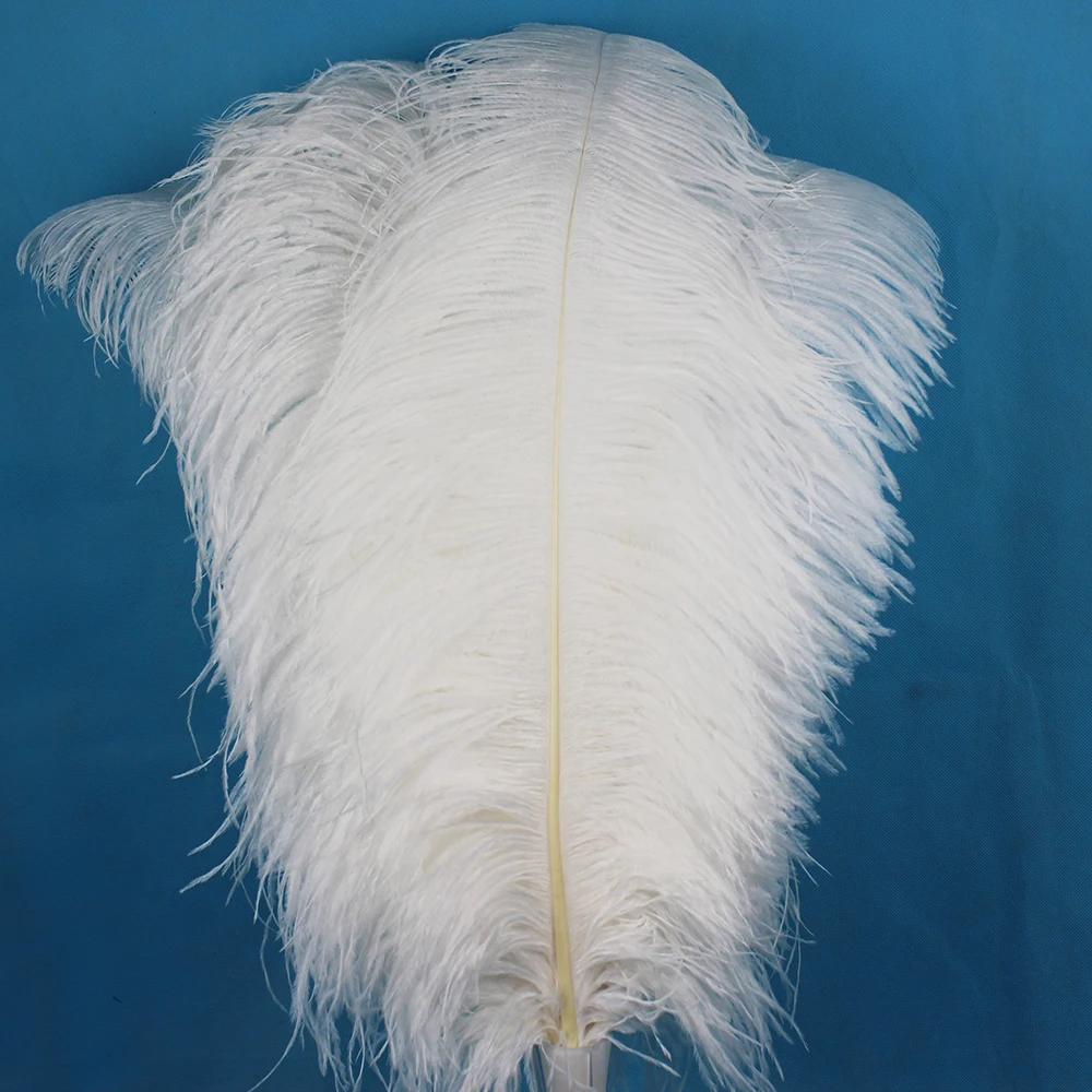 50 шт. перо страусиного дерева 55 см/20 22 дюйма|white ostrich feathers|feathers for wedding decorationostrich feather
