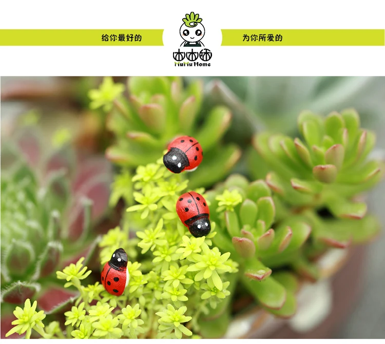 

Ladybird wooden home accessories decorative gardening Insect crafts Micro landscape ornaments 20pcs