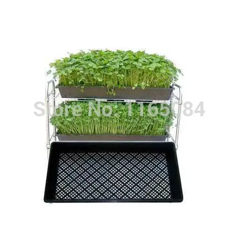 garden supplies Hot sale Seedling tray sprout plate nursery pots box 54*28*5 | Дом и сад