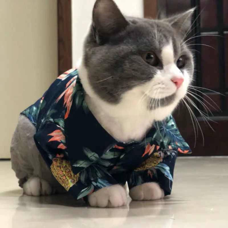 Модные Одежда для домашних животных, котов для товары кошек весна/Лето Щенок собака кошка жилет футболка Kitty рубашки с изображением котенка наряды Pet костюмы