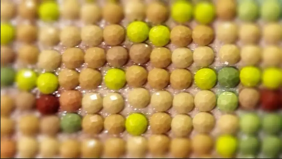 Алмазная мозаика Diy вышивка наборы крестиков 5D алмазная картина бабочка цветок