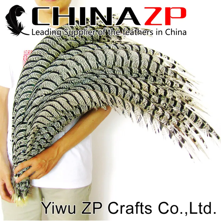 Рекомендуемая качественная натуральная Зебра CHINAZP 80 ~ 90 см|lady amherst|pheasant tail feathertail
