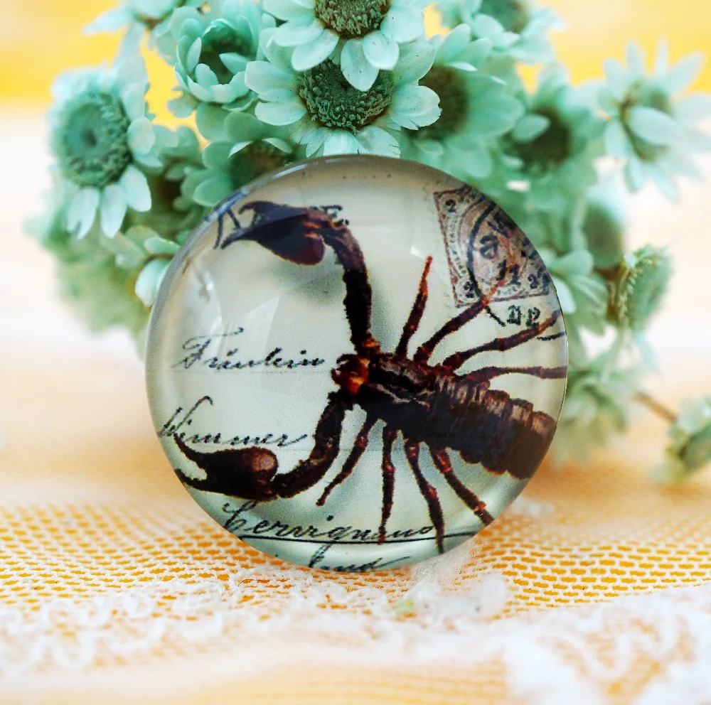 

10PCS/lot Round 12MM Scorpion Glass Cabochon for make bracelet necklace Jewelry for women 2019 earring pins brooch craft supply