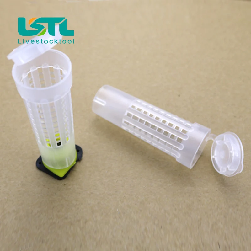 30 шт. клетки для пчелиных ячеек|equipment|equipment tools |