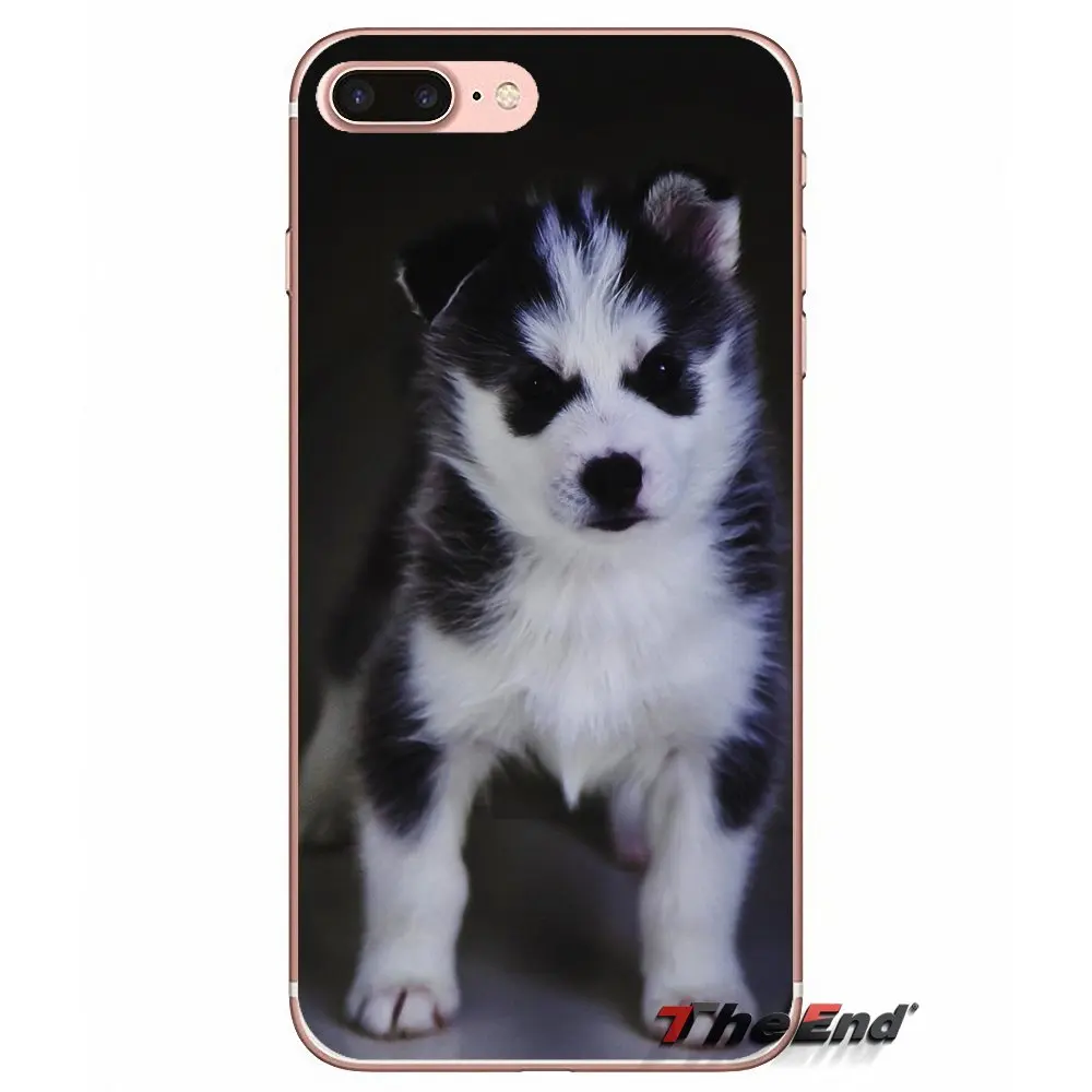 Для Apple iPhone X 4 4S 5 5S SE 5C 6 6S 7 8 Plus 6Plus 7plus 8plus Fundas Coque Siberian Husky Dog puppies Силиконовый ТПУ