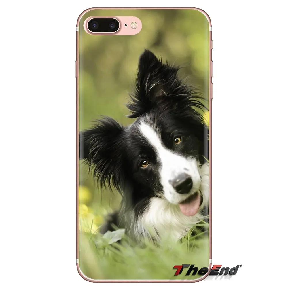 Transparent Soft Shell Covers For Xiaomi Redmi 4A S2 Note 3 3S 4 4X 5 Plus 6 7 6A Pro Pocophone F1 Border Collie Dog |