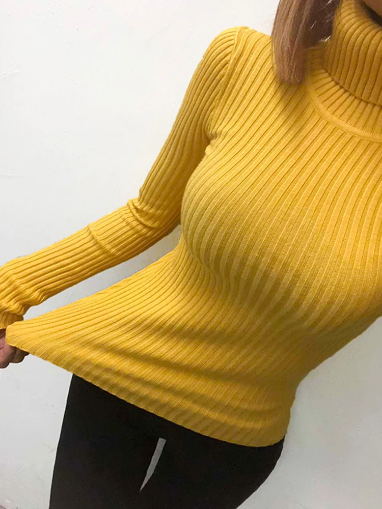 Autumn Winter Women Sweater High Elasticity Warm Knit Turtleneck Pullovers Jumpers Female Basic Bottom Colthing | Женская одежда