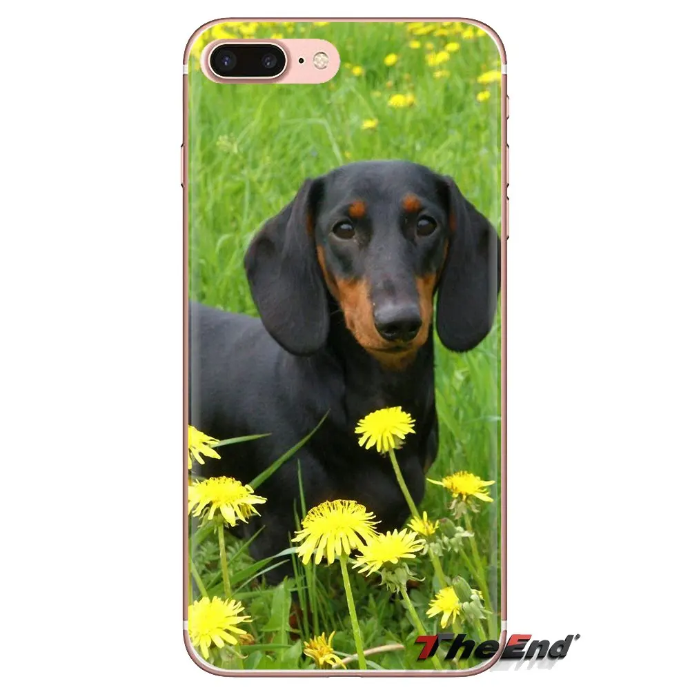 Силиконовый чехол для Xiaomi Mi3 Samsung A10 A30 A40 A50 A60 A70 Galaxy S2 Note 2 Grand Core Prime такса Teckel Dackel Dog |