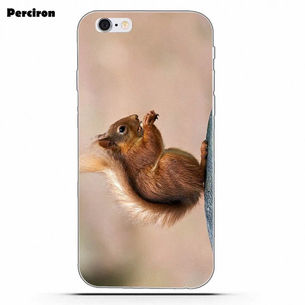 Perciron Squirrel Soft TPU Print Cover Case For Xiaomi Redmi Note 2 3 3S 4 4A 4X 5 5A 6 6A Pro Plus