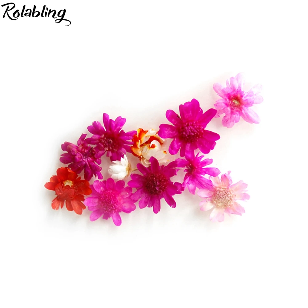 Rolabling 3D украшение для ногтей сделай сам Микс сушеных цветок лист наклейки