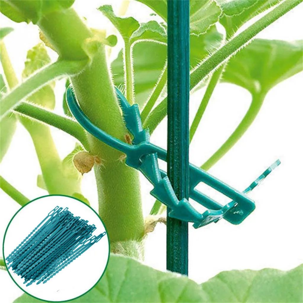 

50 PCS Plastic Green Gardening Tie Wrap Plant Pot Mark Garden Bindings Vine Vegetables Fixed Tool Fixing Plants Retain Shape