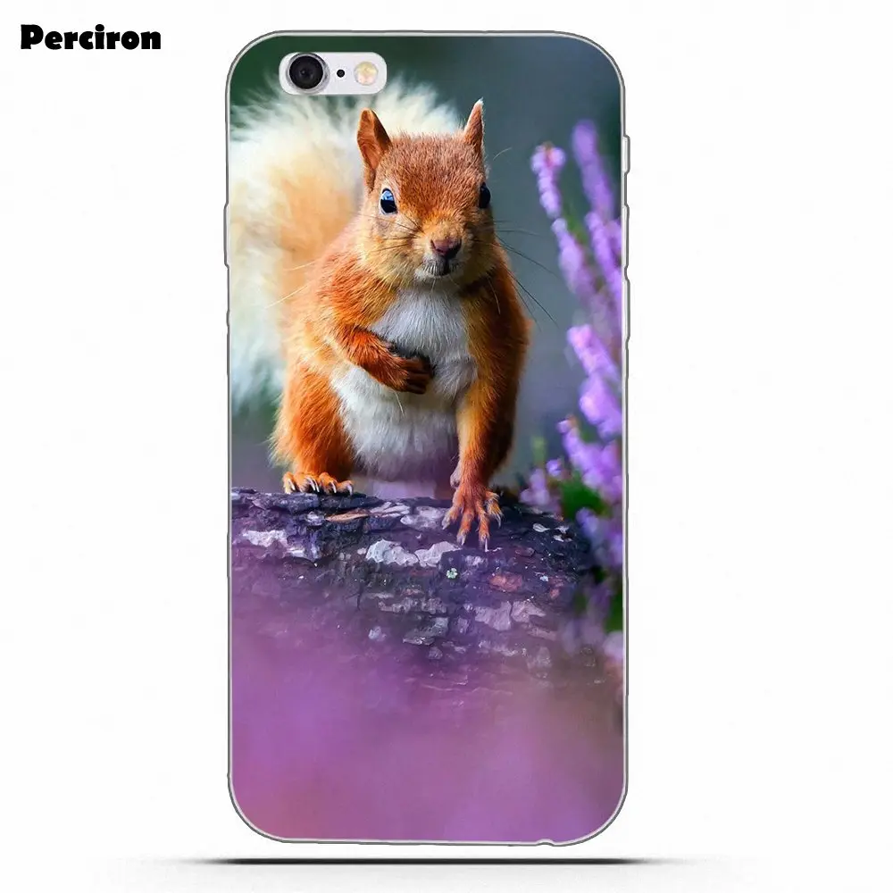as picture Perciron Squirrel Soft TPU Print Cover Case For Xiaomi Redmi Note 2 3 3S 4 4A 4X 5 5A 6 6A Pro Plus - Цвет: as picture