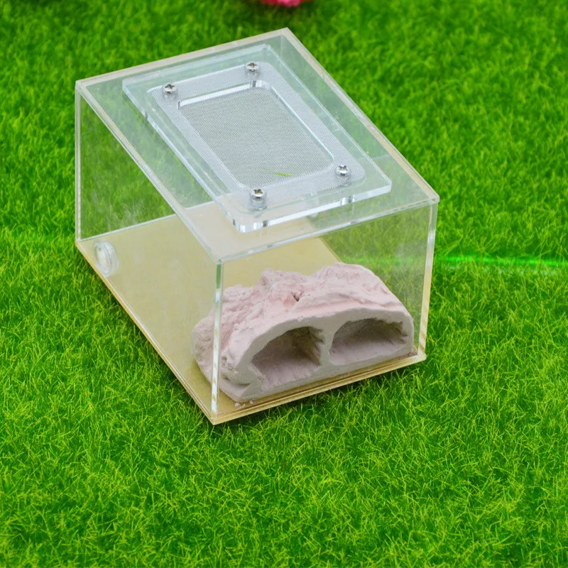 Имитация экологического муравьиного гнезда DIY штукатурка rockery acryl pet муравьиный замок муравьиная ферма насекомое муравьиные гнезда вилла
