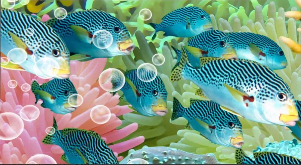 Фотообои на заказ 3d картина стену Коралловый морской мир декор гостиной живопись