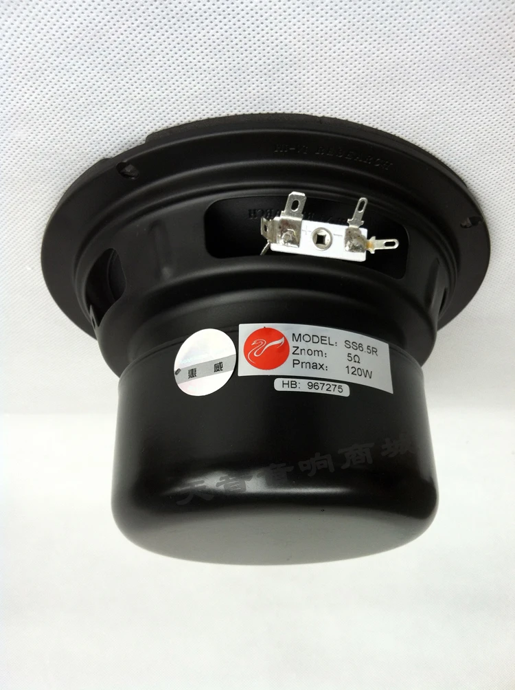 HiVi SS6.5R 6,5 дюймов mid динамик HiFi DIY Pmax 120 Вт 5 Ом высокое качество 2 шт./лот