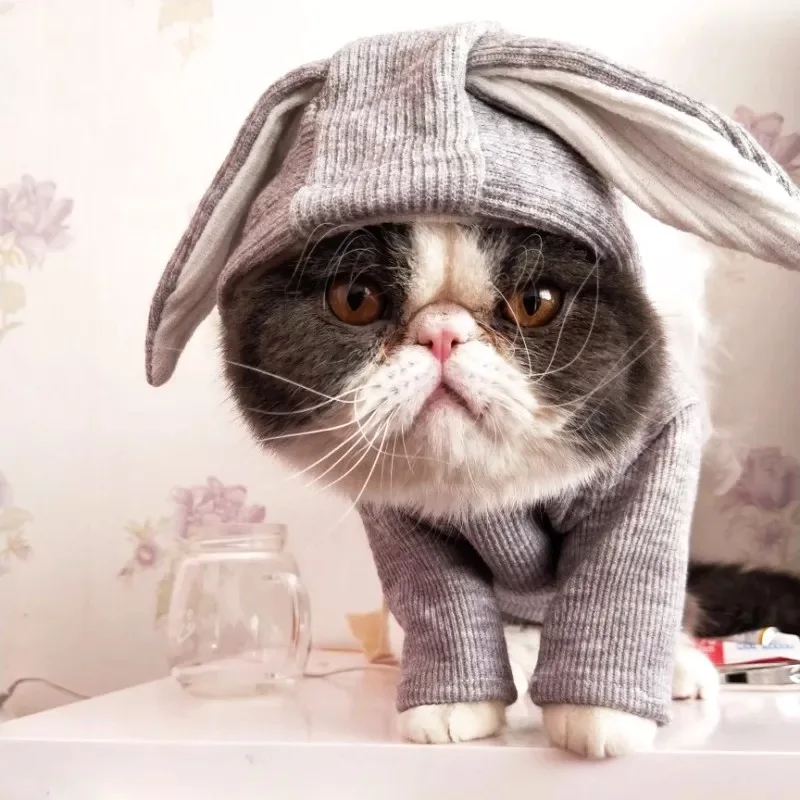Милые костюмы для кошек; зимняя теплая одежда для кошек; Одежда для маленьких кошек; пальто с котенком; куртка; Одежда для собак; XS-XXL