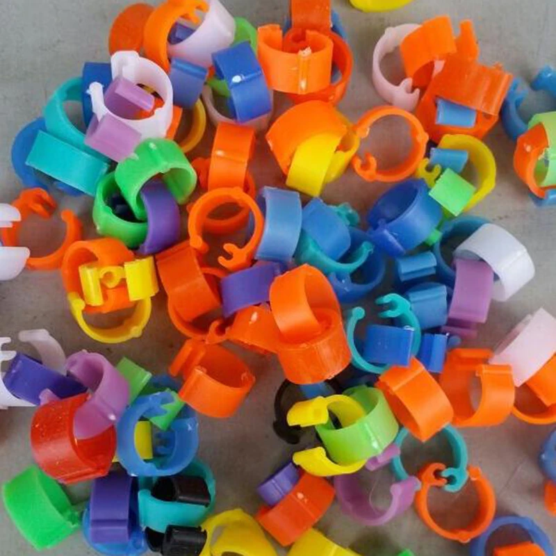 Люк птицы куриная нога кольца курица голубь цыплят утка клип универсальный