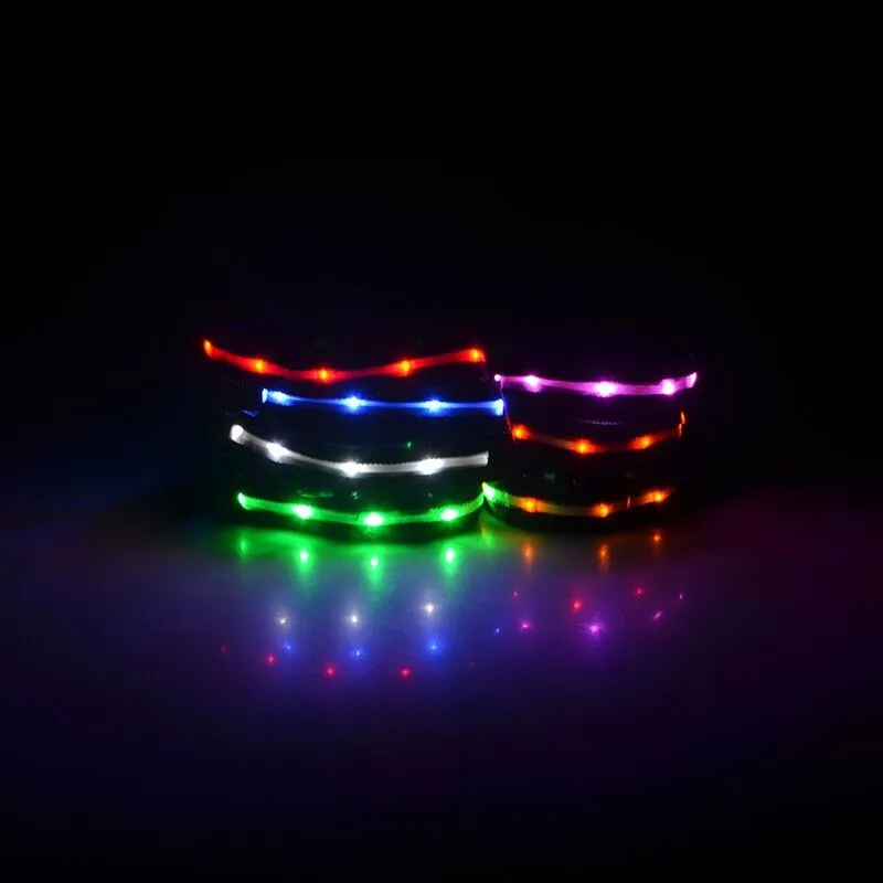 FE13 Бесплатная доставка новый светодиод для домашних собак ошейник экологически