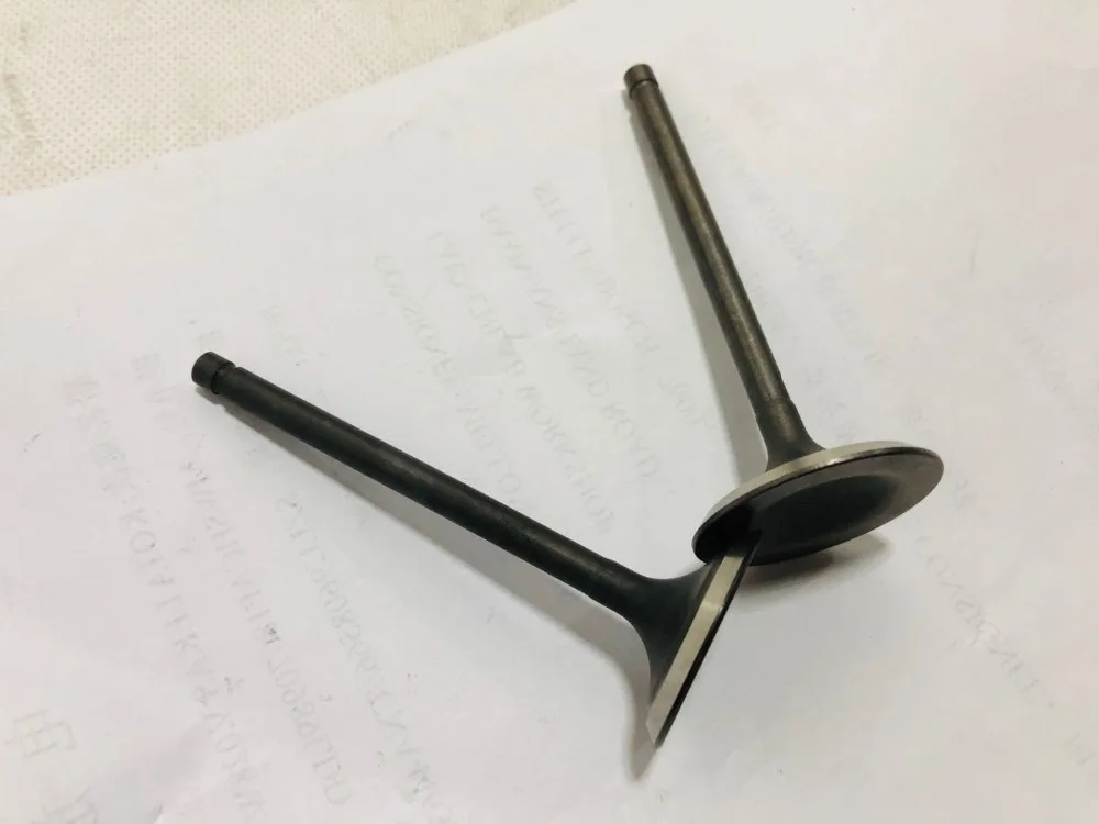 LINHAI 250 260 FEISHEN FA-D300 H300 Motorcycle ATV Engine Intake And Exhaust Valves |