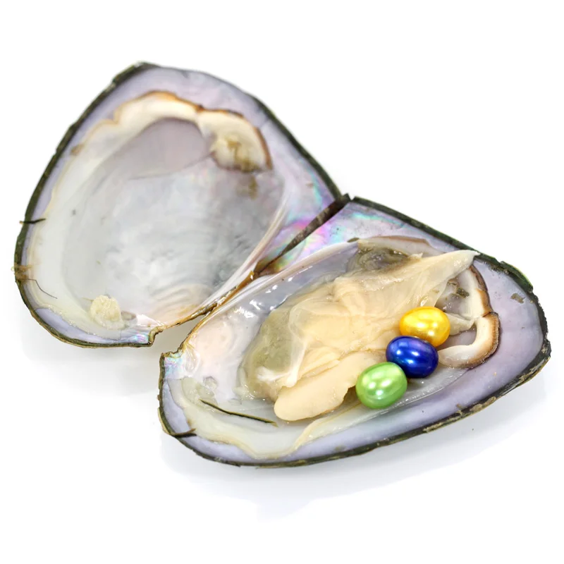 Mussel Shell Freshwater Oyster Wish 9 Pearls 20 colors 7-8MM beautiful Pearl With One Vacuum Pack Inside FO047 | Украшения и