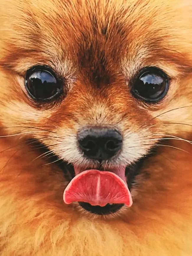 Модная Летняя мужская/футболка для мальчиков футболка с короткими рукавами