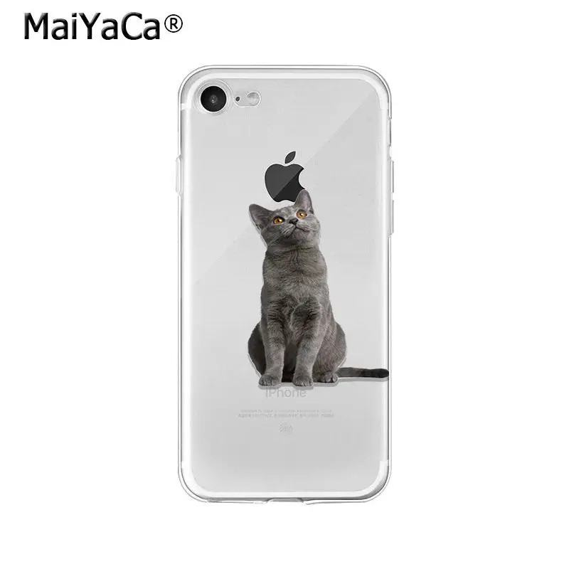 Мягкий ТПУ чехол для iPhone X XS MAX 6 6S 7 7plus 8 8Plus 5 5S XR|Чехлы-накладки| |