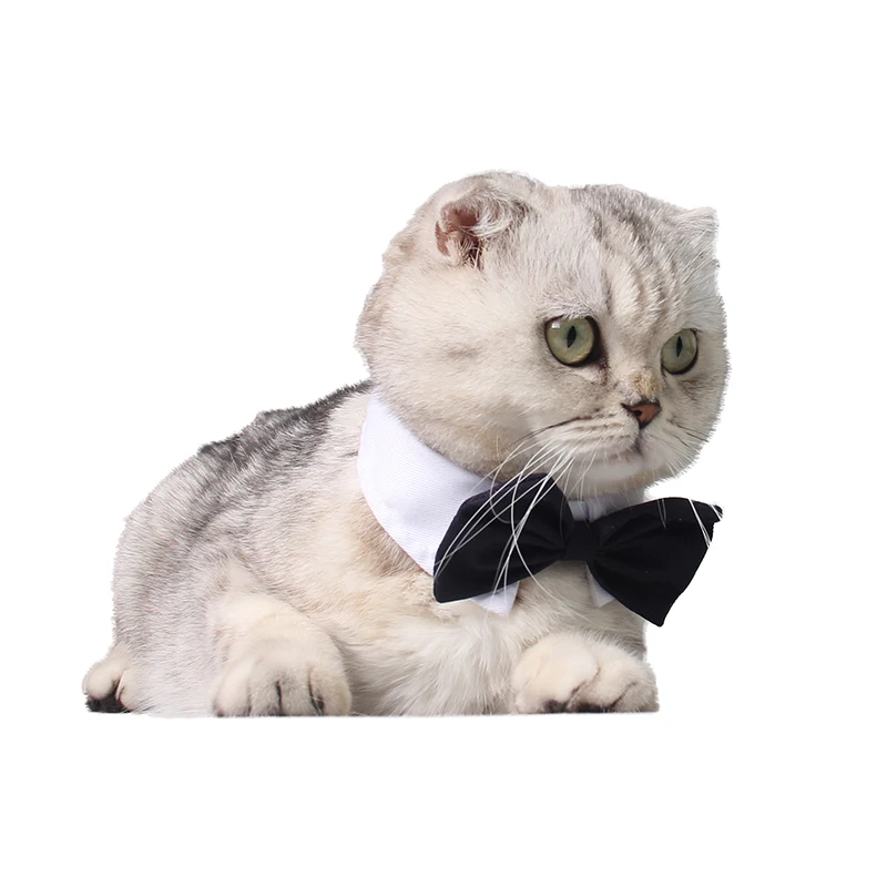 Домашнее животное кошка собака в виде симпатичного черного галстук бабочка B006|dog
