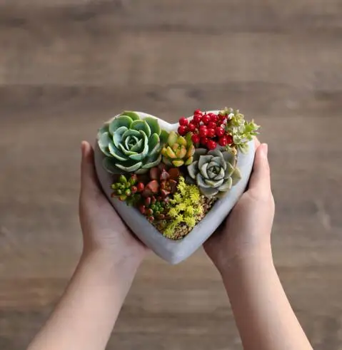 Силиконовая форма для цемента сердца многофункциональные мясные горшки формы