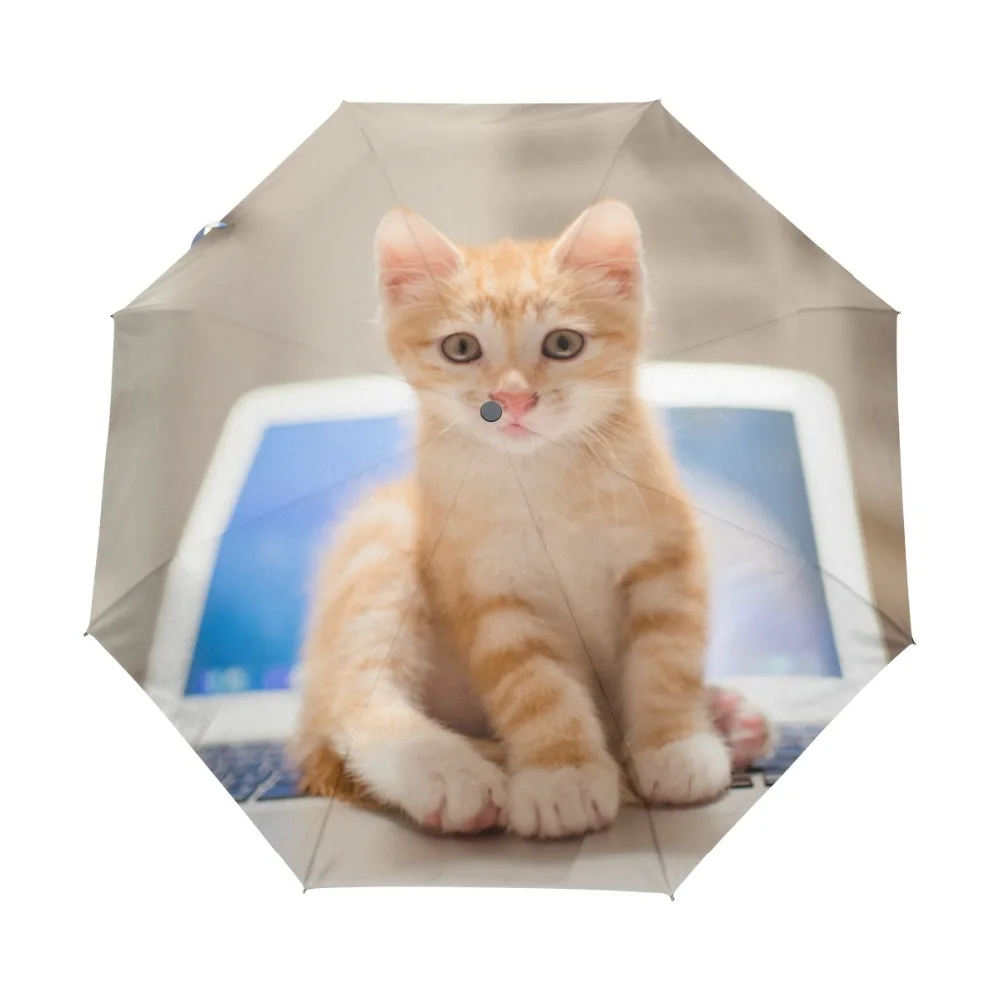 

Cute Cat Printed Automatic Umbrella Wind Resistant Folding Automatic Umbrella Rain Women Auto Windproof Umbrellas Rain For Women